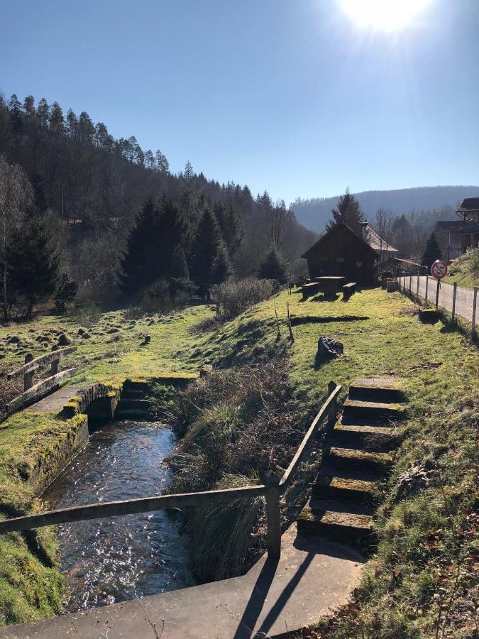 La Dependance De La Villa Des Oiseaux - La Petite Pierre Esterno foto