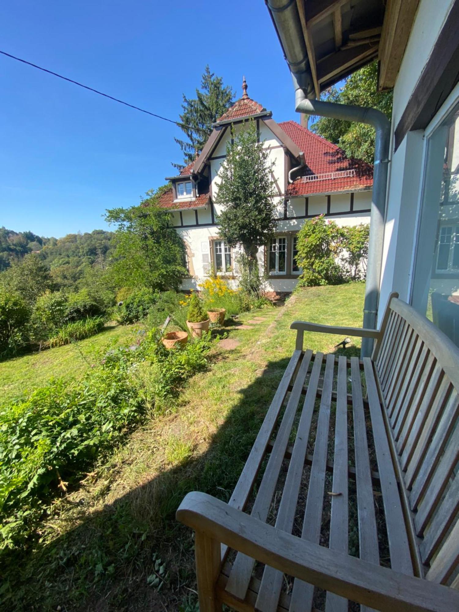 La Dependance De La Villa Des Oiseaux - La Petite Pierre Esterno foto