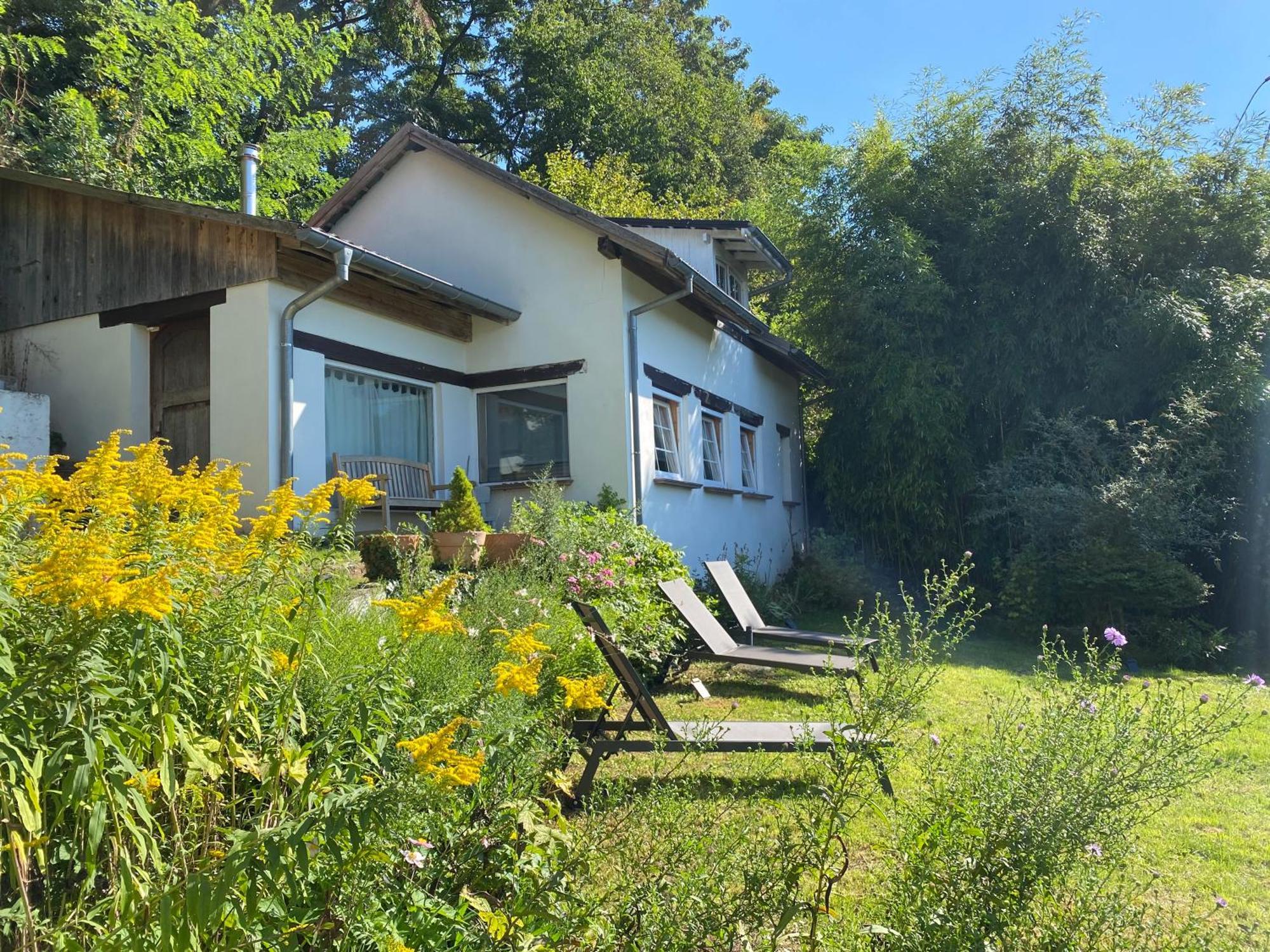 La Dependance De La Villa Des Oiseaux - La Petite Pierre Esterno foto