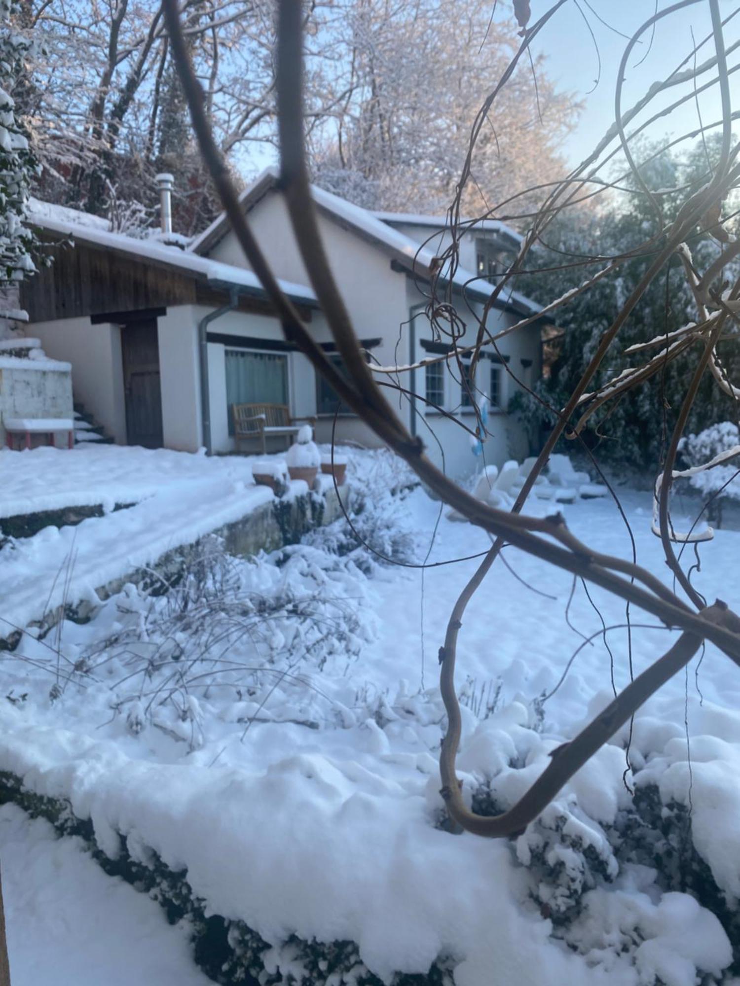 La Dependance De La Villa Des Oiseaux - La Petite Pierre Esterno foto
