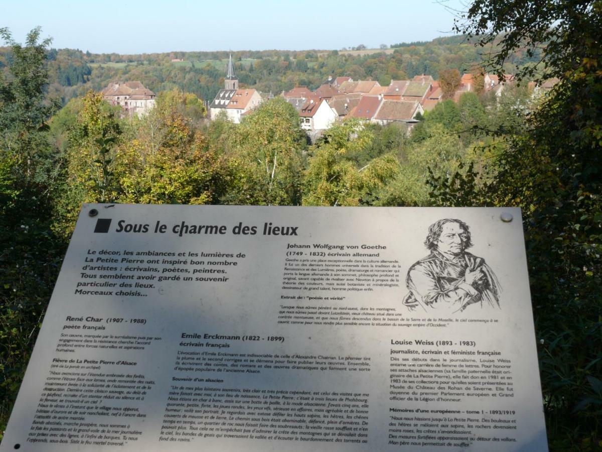 La Dependance De La Villa Des Oiseaux - La Petite Pierre Esterno foto